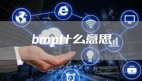 bmp什么意思