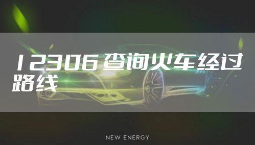 12306 查询火车经过路线