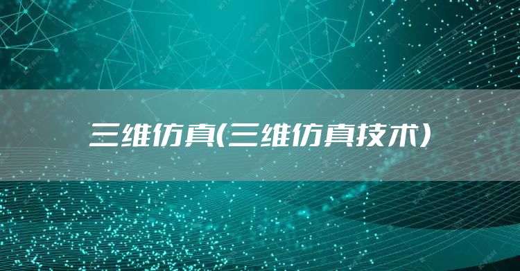 三维仿真(三维仿真技术)