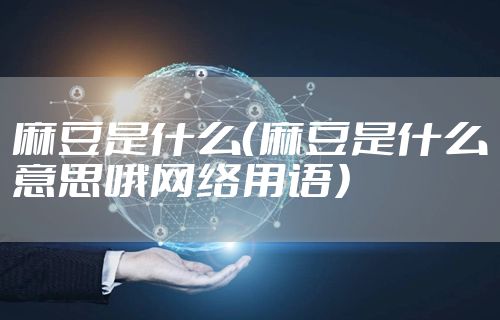 麻豆是什么(麻豆是什么意思哦网络用语)