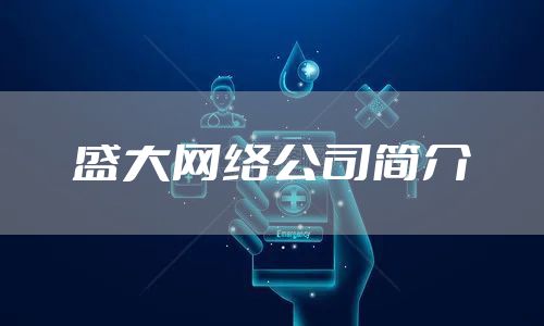 盛大网络公司简介