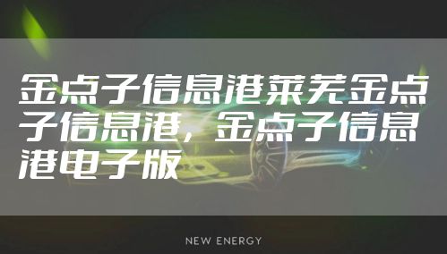 金点子信息港莱芜金点子信息港,金点子信息港电子版