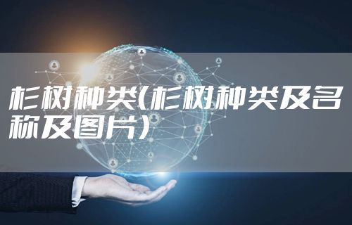 杉树种类（杉树种类及名称及图片）