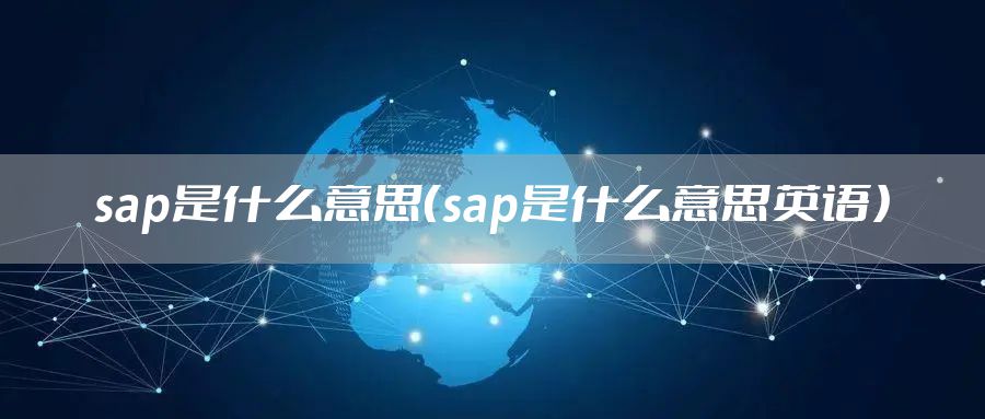 sap是什么意思（sap是什么意思英语）