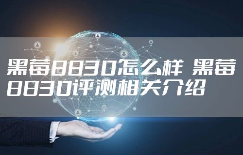 黑莓8830怎么样  黑莓8830评测相关介绍