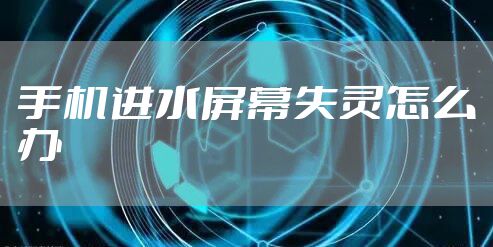 手机进水屏幕失灵怎么办