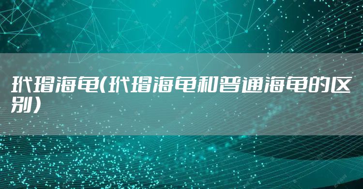 玳瑁海龟（玳瑁海龟和普通海龟的区别）