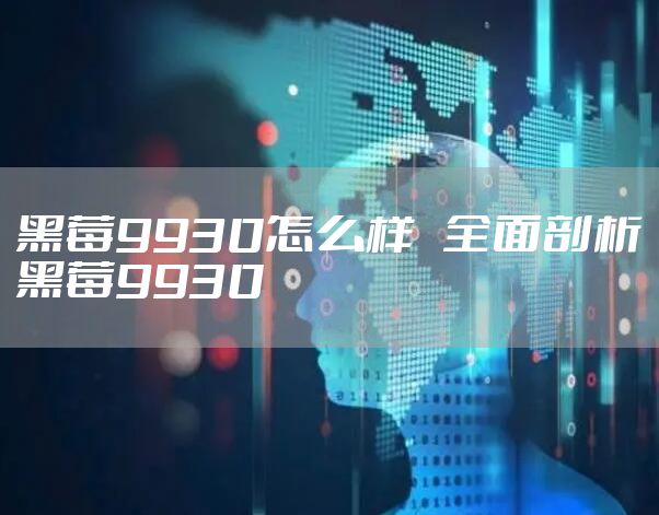 黑莓9930怎么样 全面剖析黑莓9930