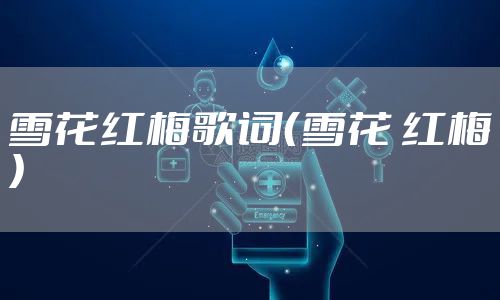 雪花红梅歌词（雪花 红梅）