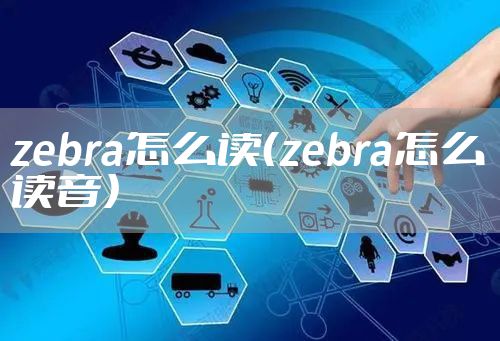 zebra怎么读（zebra怎么读音）