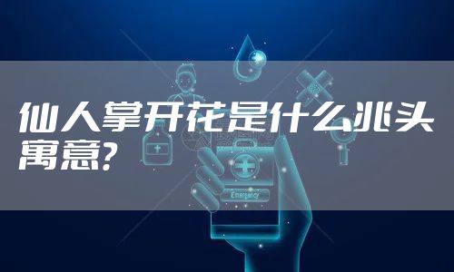 仙人掌开花是什么兆头寓意？