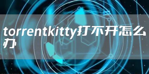 torrentkitty打不开怎么办