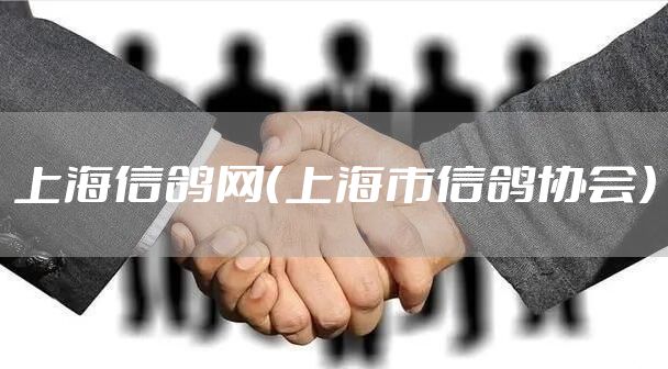 上海信鸽网(上海市信鸽协会)