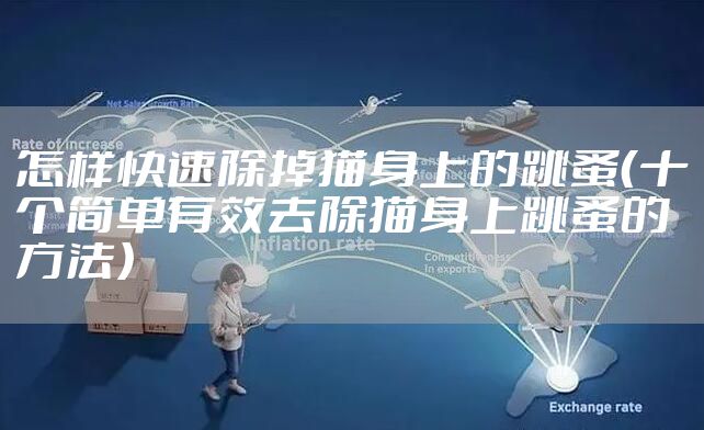 怎样快速除掉猫身上的跳蚤（十个简单有效去除猫身上跳蚤的方法）