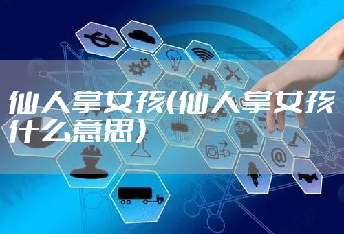 仙人掌女孩（仙人掌女孩什么意思）