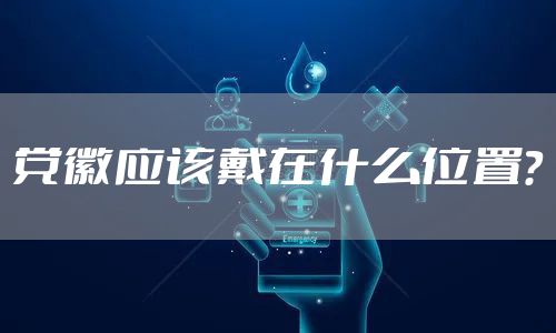 党徽应该戴在什么位置？