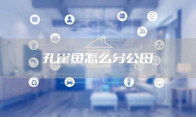 孔雀鱼怎么分公母