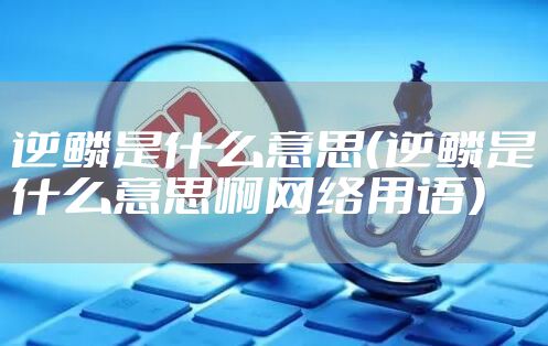 逆鳞是什么意思(逆鳞是什么意思啊网络用语)