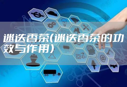 迷迭香茶（迷迭香茶的功效与作用）