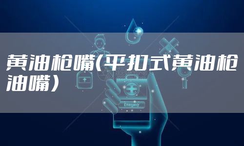 黄油枪嘴（平扣式黄油枪油嘴）