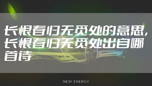 长恨春归无觅处的意思，长恨春归无觅处出自哪首诗