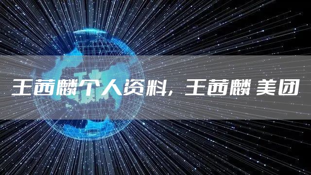 王茜麟个人资料，王茜麟 美团