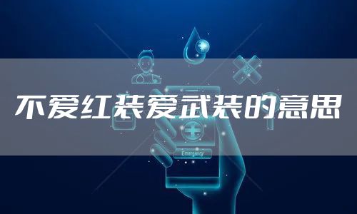 不爱红装爱武装的意思