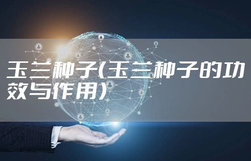 玉兰种子（玉兰种子的功效与作用）