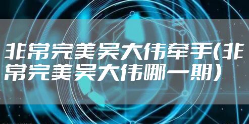 非常完美吴大伟牵手（非常完美吴大伟哪一期）