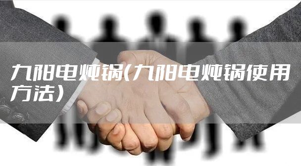 九阳电炖锅(九阳电炖锅使用方法)