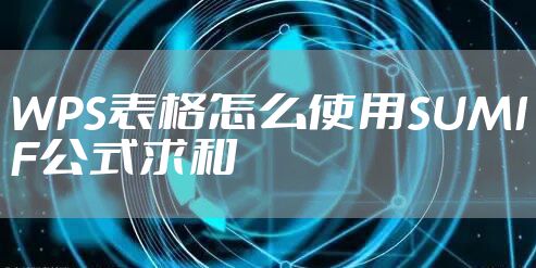 WPS表格怎么使用SUMIF公式求和