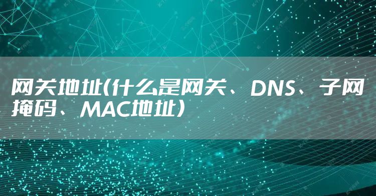 网关地址（什么是网关、DNS、子网掩码、MAC地址）