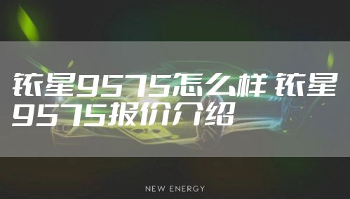 铱星9575怎么样 铱星9575报价介绍