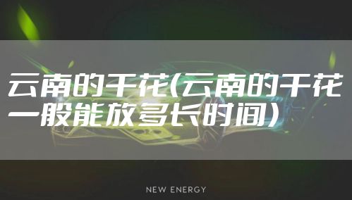 云南的干花（云南的干花一般能放多长时间）