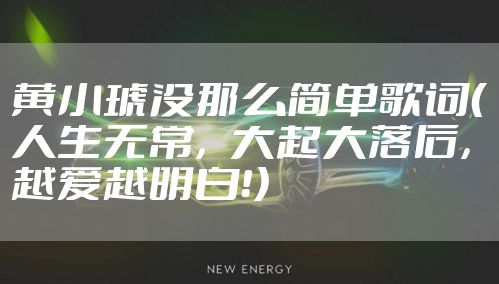 黄小琥没那么简单歌词（人生无常，大起大落后，越爱越明白！）