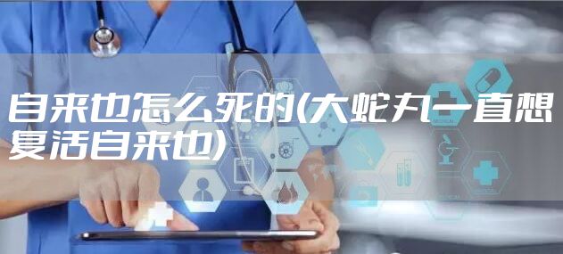 自来也怎么死的(大蛇丸一直想复活自来也)