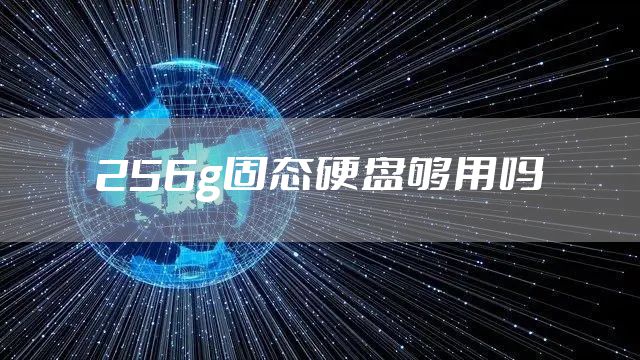 256g固态硬盘够用吗