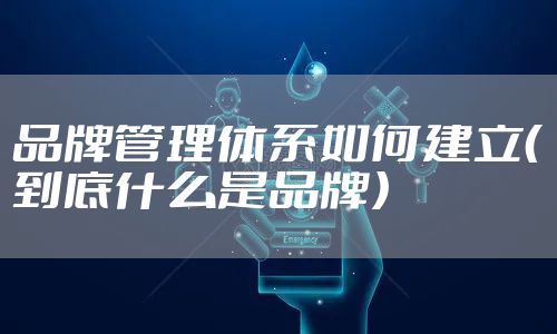品牌管理体系如何建立（到底什么是品牌）