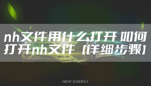nh文件用什么打开 如何打开nh文件【详细步骤】