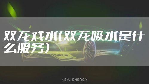 双龙戏水(双龙吸水是什么服务)