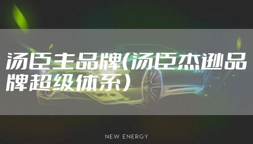 汤臣主品牌(汤臣杰逊品牌超级体系)