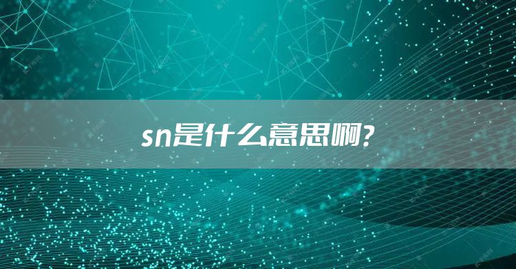 sn是什么意思啊?