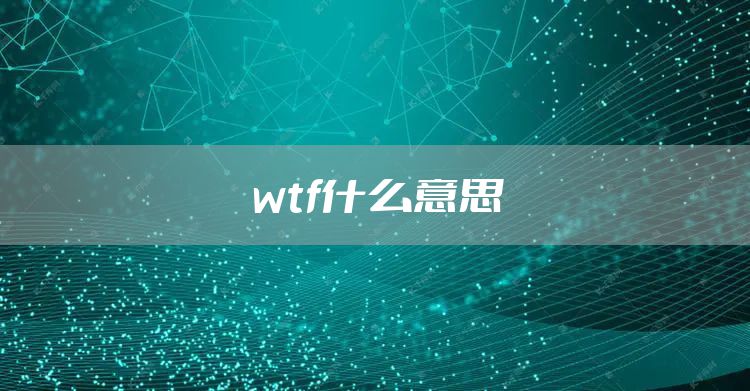 wtf什么意思