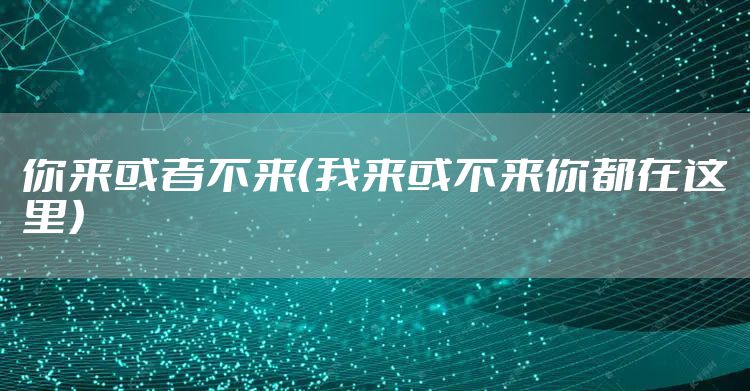 你来或者不来(我来或不来你都在这里)