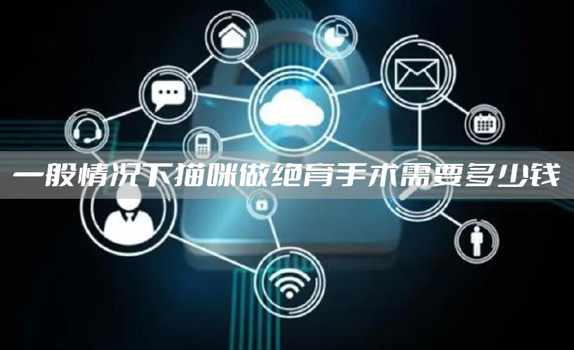 一般情况下猫咪做绝育手术需要多少钱