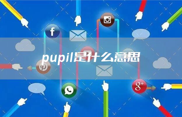 pupil是什么意思