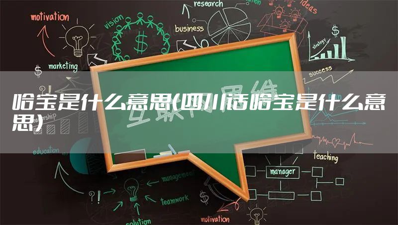 哈宝是什么意思（四川话哈宝是什么意思）