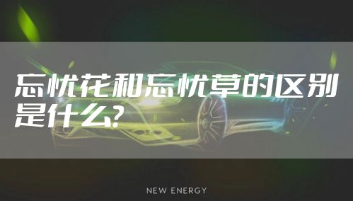 忘忧花和忘忧草的区别是什么？