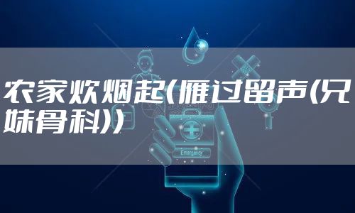 农家炊烟起（雁过留声(兄妹骨科)）