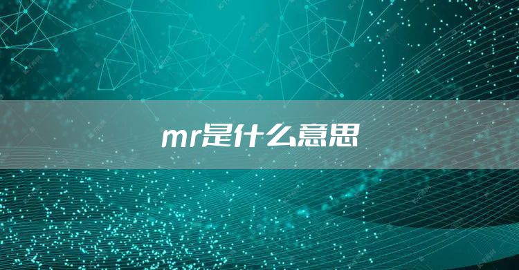 mr是什么意思